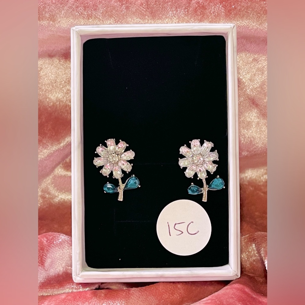 Fashion Earrings #15c